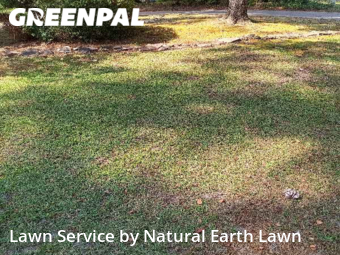 Lawn Cutting nearby Columbia, SC, 
