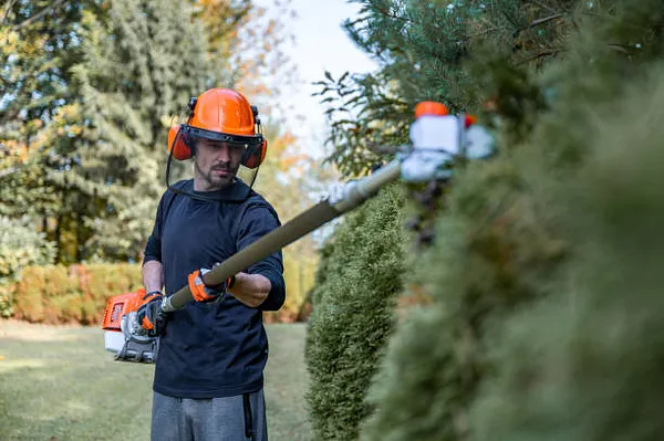 A-1 Lawn Mower & Garden Supply Photo 8