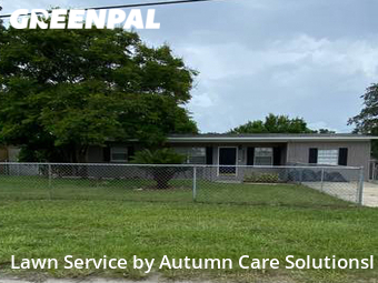 Lawn Maintenance nearby Tampa, FL, 