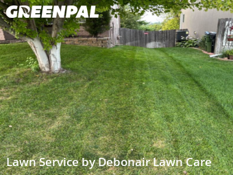 Lawn Cut nearby Omaha, NE, 