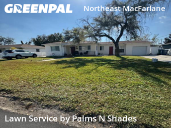 Grass Cut nearby Tampa, FL, 