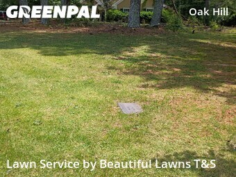 Lawn Service nearby Covington, GA, 