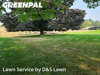 Grass Cutting nearby Hayden, ID, 