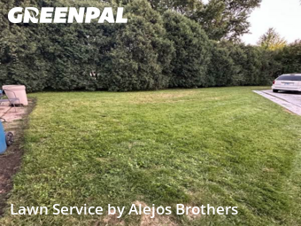 Lawn Maintenancein Elmhurst,60126,Yard Mowing by Alejos Brothers, work completed in Nov , 2025