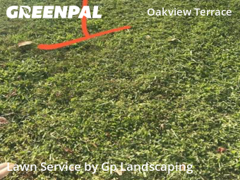 Grass Cut nearby Charlotte, NC, 