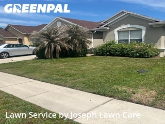 Grass Cut nearby Kissimmee, FL, 