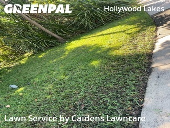 Lawn Mowingin Hollywood,33019,Lawn Care by Caidens Lawncare , work completed in Jan , 2026