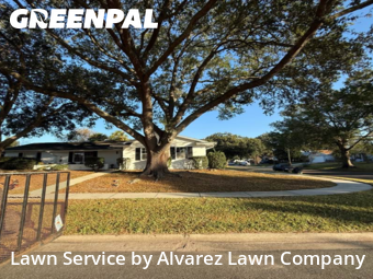 Lawn Mowing Servicein Winter Park,32792,Lawn Maintenance by Alvarez Lawn Company, work completed in Dec , 2025