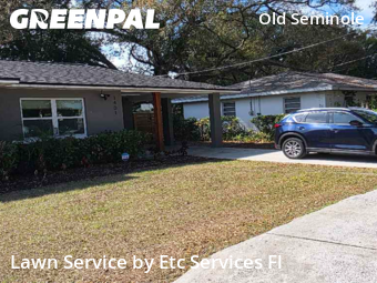 Lawn Servicein Tampa,33604,Yard Cutting by Etc Services Fl, work completed in Feb , 2026