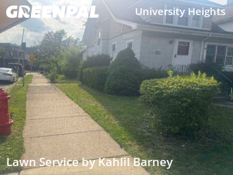 Grass Cutting nearby Buffalo, NY, 