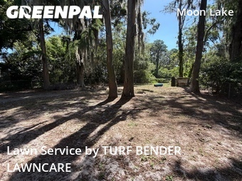Yard Mowing nearby New Port Richey, FL, 