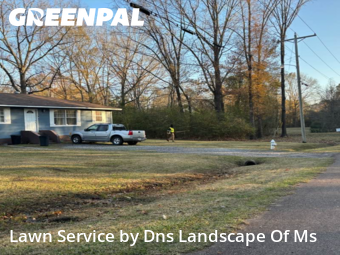Lawn mowed in Pearl, 39208