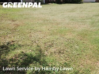 Lawn mowed in Greenville, 29605