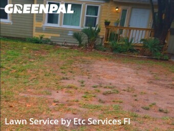 Lawn Mowing nearby St. Petersburg, FL, 