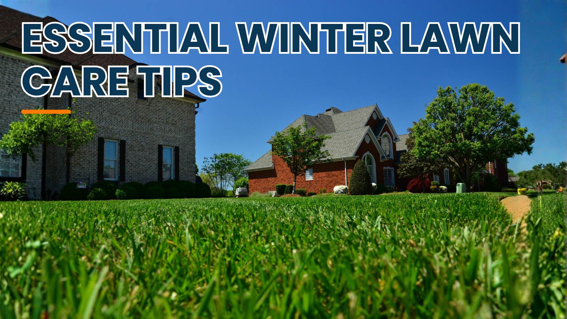 Essential Winter Lawn Care Tips By Greenpal
