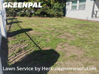 Grass Cutting nearby San Diego, CA, 