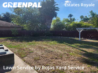 Affordable Landscaping In Mc Allen,78504,Landscaping Maintenance by Rojas Yard Service, work completed in Nov , 2025