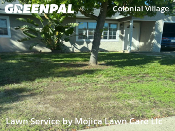Work completed by professional-lawn-care-service-in-Sacramento-CA