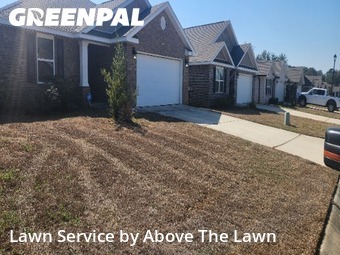 Lawn Maintenance nearby Bellview, FL, 