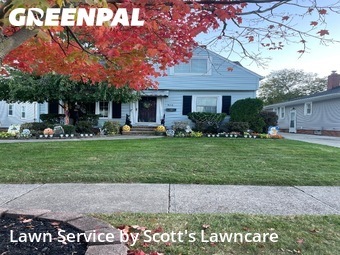 Grass Cut nearby Parma, OH, 