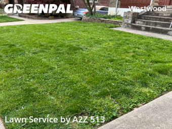 Yard Mowing nearby Cincinnati, OH, 