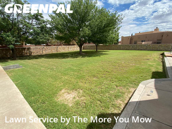 Lawn Service nearby Socorro, TX, 