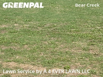 Yard Mowing nearby New Port Richey, FL, 