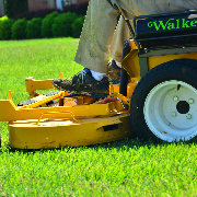 grass-cutting-businesses-in-Collierville-TN