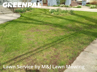 Lawn Mow nearby Buffalo, NY, 