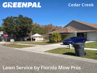 Lawn Maintenancein Tampa,33625,Lawn Cut by Florida Mow Pros, work completed in Dec , 2025