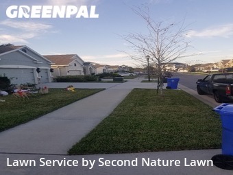 Lawn Cut nearby Brandon, FL, 