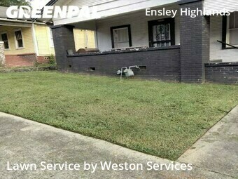 Grass Cutting nearby Birmingham, AL, 