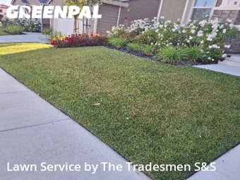 Lawn Care nearby Antioch, CA, 