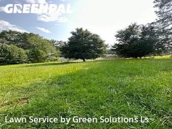 Lawn Service nearby Atlanta, GA, 