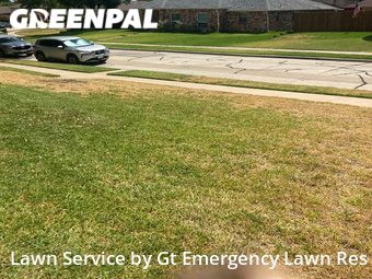 Lawn Cutting nearby Carrollton, TX, 