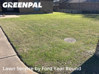 Yard Cutting nearby Fort Worth, TX, 