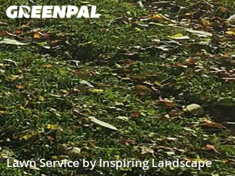 Lawn Mowing Service nearby Colorado Springs, CO, 