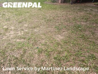 Grass Cut nearby Eustis, FL, 