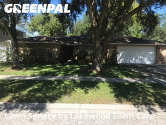 Yard Cutting nearby Seffner, FL, 
