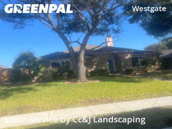 Lawn Service nearby Plano, TX, 