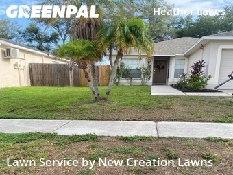 Lawn Mowing nearby Brandon, FL, 