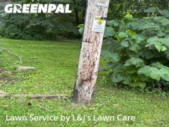 Lawn Care in Greenfield, 53228, Garden Trimming by L&J’s Lawn Care , work completed in Nov , 2025