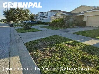 Lawn Mow nearby Riverview, FL, 