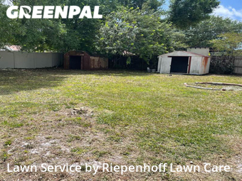 Lawn Mow nearby Tampa, FL, 