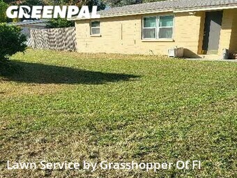 Lawn Mowing Service nearby Valrico, FL, 