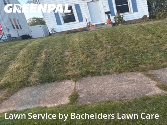Yard Care in Mansfield, 44907, Weed Trimming by Bachelders Lawn Care, work completed in Nov , 2025