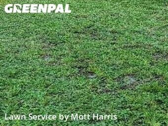 Lawn Care Service nearby Margate, FL, 
