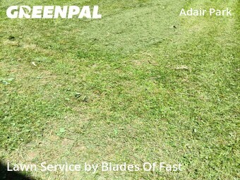Lawn Maintenance in Atlanta, 30310, Lawn Mowing by Blades Of Fast, work completed in 23 Jun, 2026 