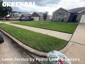 Lawn Service nearby Katy, TX, 