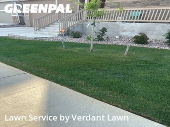 Yard Cutting nearby Loveland, CO, 